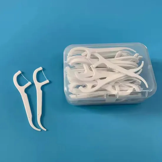 Customized Package Dental Toothpicks Plastic Dental Floss Picks