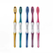 Popular Item Adult Toothbrush Nylon Medium Rounded Bristles Single Blister Card Package Professional Toothbrush Supplier