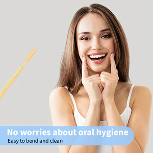 Wholesale Eco-Friendly Fine Quality Double-Ended Fishbone Toothpick Creative Design for Space-Saving Interdental Brushes