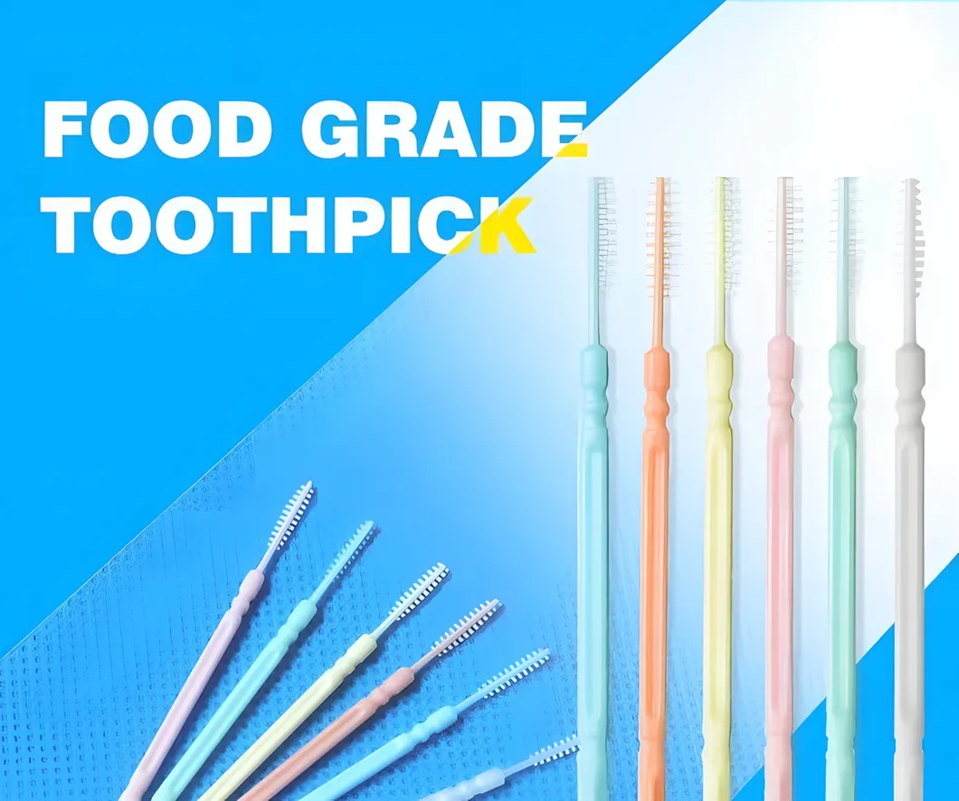 Double-Ended Toothpick Tooth Picks Dental Floss Interdental Brush Teeth Stick Dental Hygiene Tools