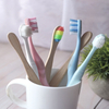 Adult Toothbrush