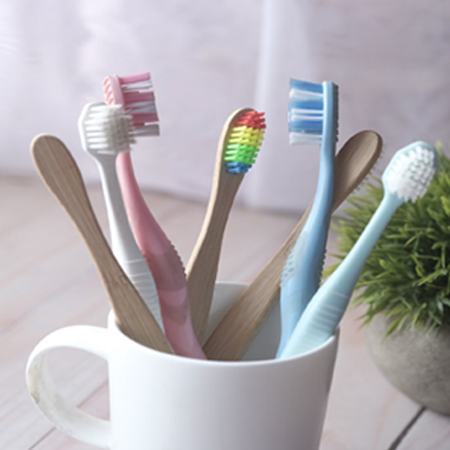 Adult Toothbrush
