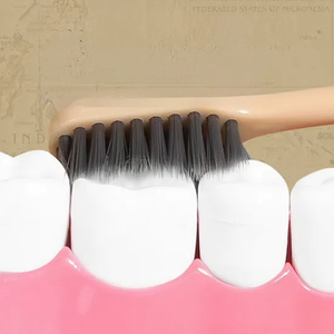 Adult Disposable Toothbrush with Medium Nylon Bristle Soft Plastic Handle Home Use Feature