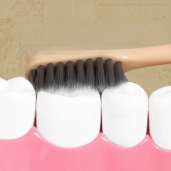 Adult Disposable Toothbrush with Medium Nylon Bristle Soft Plastic Handle Home Use Feature