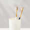 FDA Approved Adult Plastic Toothbrush with Soft Nylon Bristles for Deep Cleaning