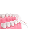 Wholesale Floss Sticks Dental Floss Picks Biodegradable Dental Floss