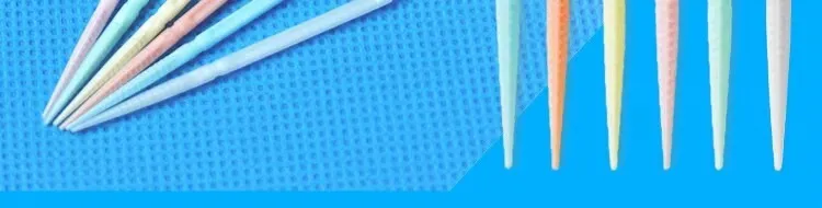 Double-Ended Toothpick Interdental Brush Eco-Friendly Fishbone Style Interdental Brush Toothpick