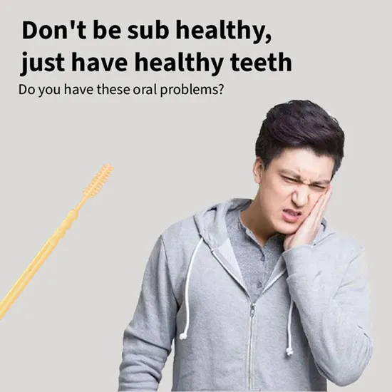 Reusable Eco-Friendly Interdental Brush Interdental Brush Toothpicks Double-Ended Toothpick