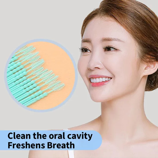 Wholesale Eco-Friendly Fine Quality Double-Ended Fishbone Toothpick Creative Design for Space-Saving Interdental Brushes