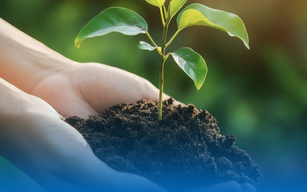 Environmental Protection