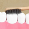 OEM Colors Children Toothbrush Soft Nylon Bristle Plastic Handle Colorful Design Small Silicone Head Toothbrush Kids Home Travel