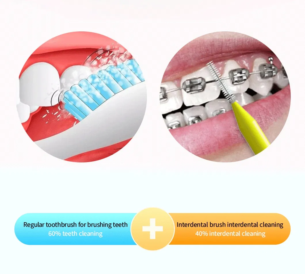 Hot Selling High Quality Sturdy Interdental Dental Brush Reliable and Versatile Product