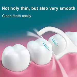 Dental Floss Pick Supplier Best Eco Friendly Dental Floss Oral Toothpick Teeth Flossers