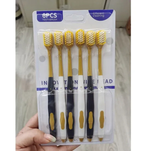 Disposable Plastic Hotel Toothbrush Set with Custom Logo for Hospitality Industry