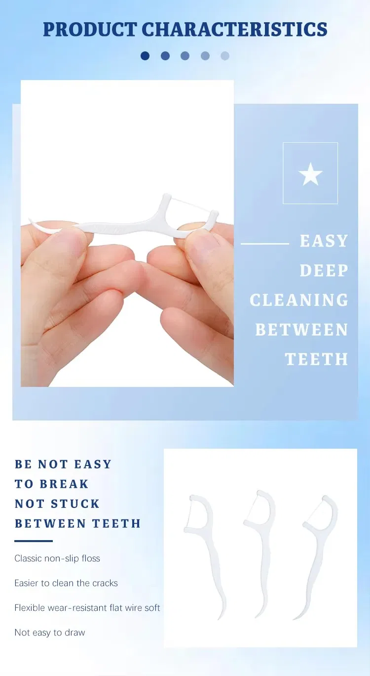 Bulk Family Pack Special Design Eco Friendly Dental Floss Pick for Teeth Cleaning