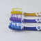Popular Item Adult Toothbrush Nylon Medium Rounded Bristles Single Blister Card Package Professional Toothbrush Supplier